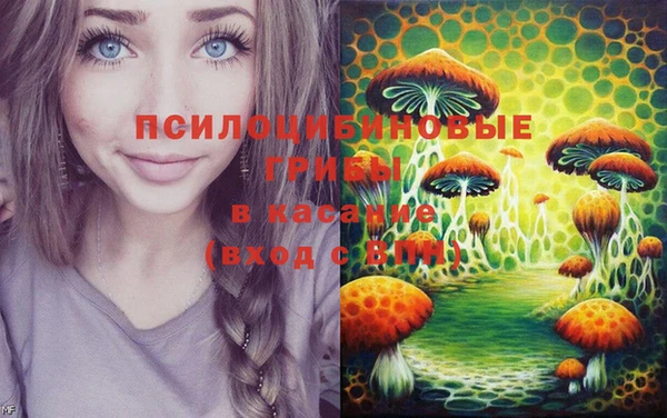 бошки Алексин
