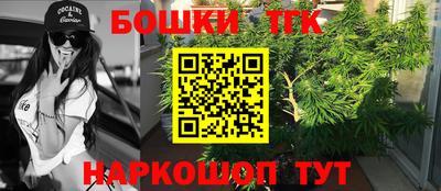 индика Ачхой-Мартан